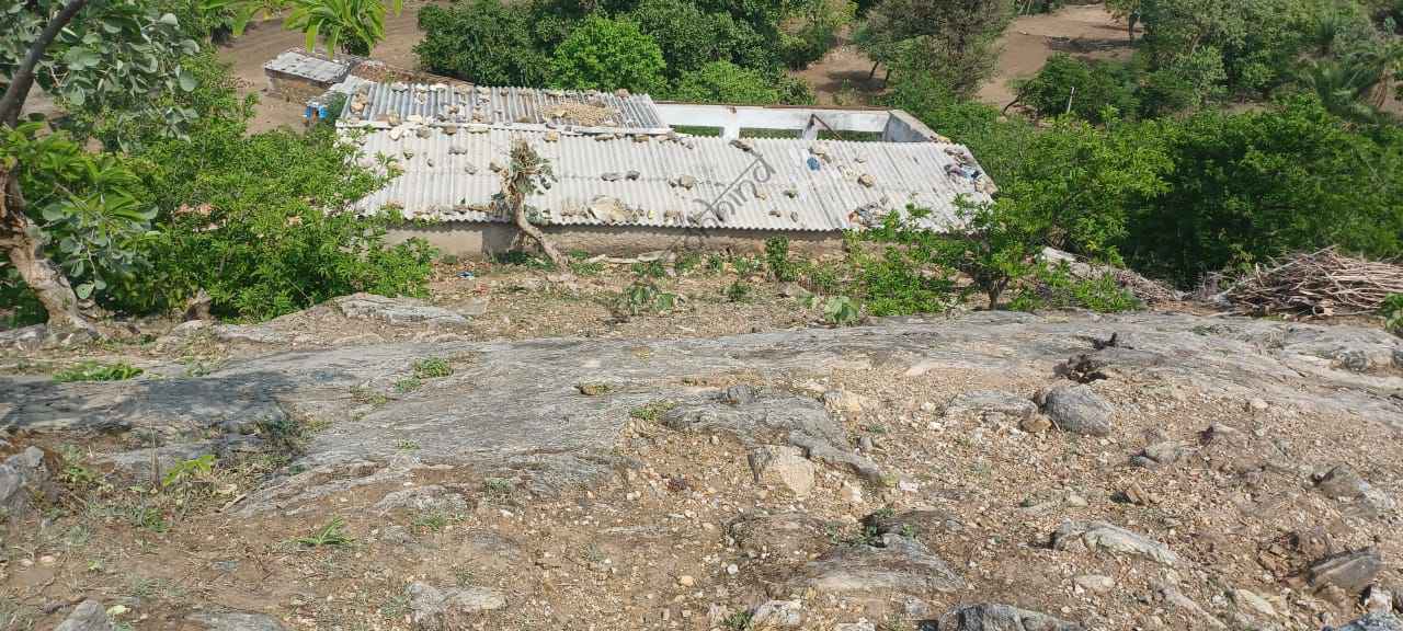 उदयपुर न्यूज़: सायरा में विधवा महिला की बेरहमी से हत्या, इलाके में मचा हड़कंप