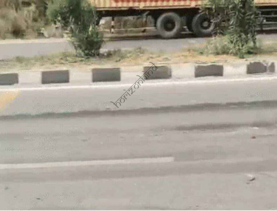 उदयपुर न्यूज़: तेज रफ्तार अनियंत्रित ट्रेलर ने 30 भेड़ों को रौंदा, चीखों से दहला हाईवे