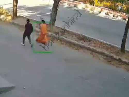 उदयपुर न्यूज़: मंदिर से लौट रही महिला से सड़क पर सोने की चेन छीनी, आरोपी फरार