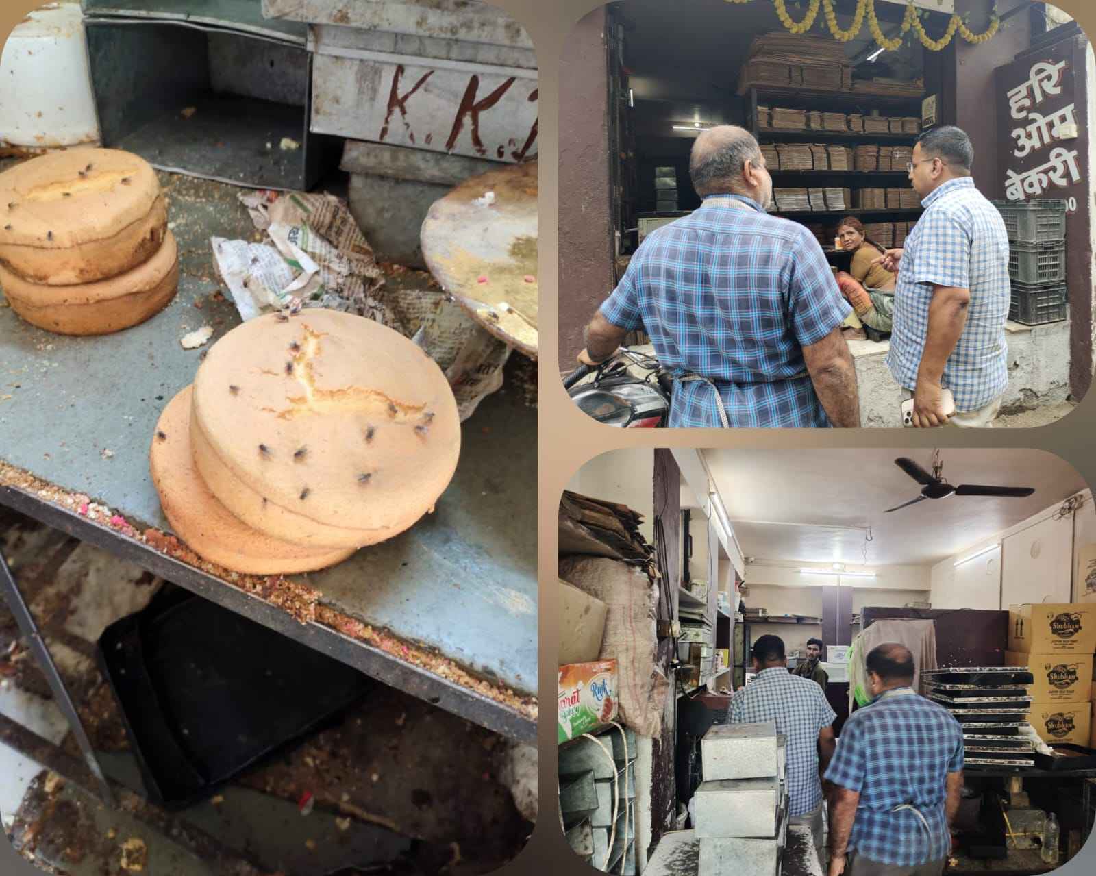 राजस्थान न्यूज़: क्रीम रोल में छिपकली निकलने की शिकायत के बाद हरकत में आया चिकित्सा एवं स्वास्थ्य विभाग